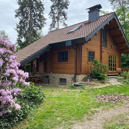 Waldhaus Eichhoernchen Bad Schmiedeberg Bagian luar foto