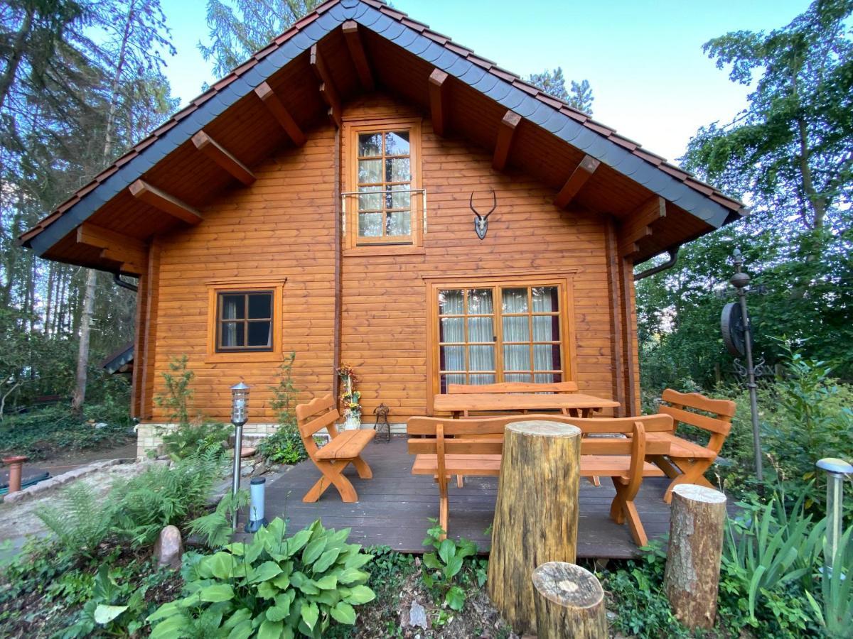 Waldhaus Eichhoernchen Bad Schmiedeberg Bagian luar foto