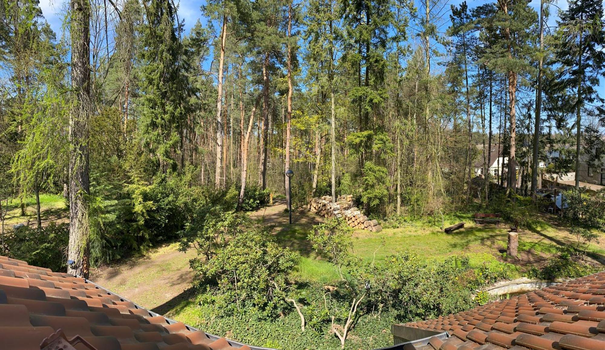 Waldhaus Eichhoernchen Bad Schmiedeberg Bagian luar foto