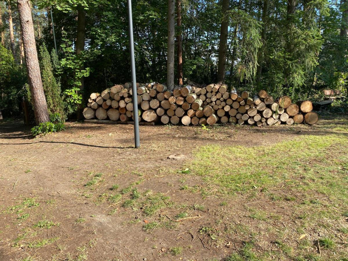Waldhaus Eichhoernchen Bad Schmiedeberg Bagian luar foto