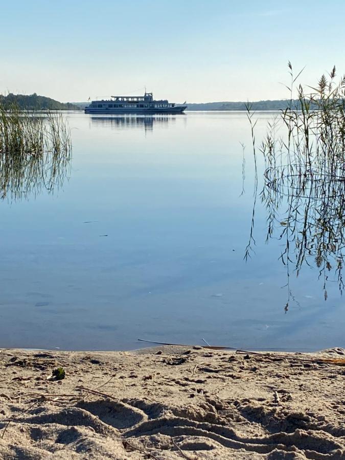 Waldhaus Eichhoernchen Bad Schmiedeberg Bagian luar foto