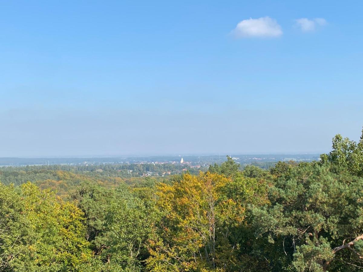 Waldhaus Eichhoernchen Bad Schmiedeberg Bagian luar foto