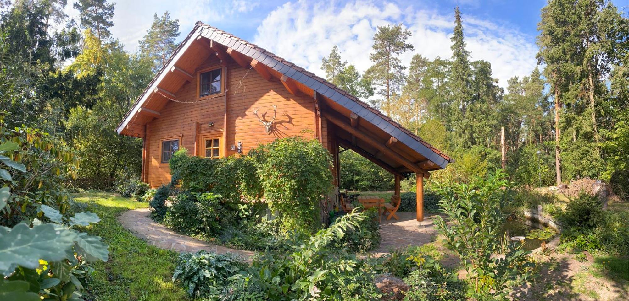 Waldhaus Eichhoernchen Bad Schmiedeberg Bagian luar foto