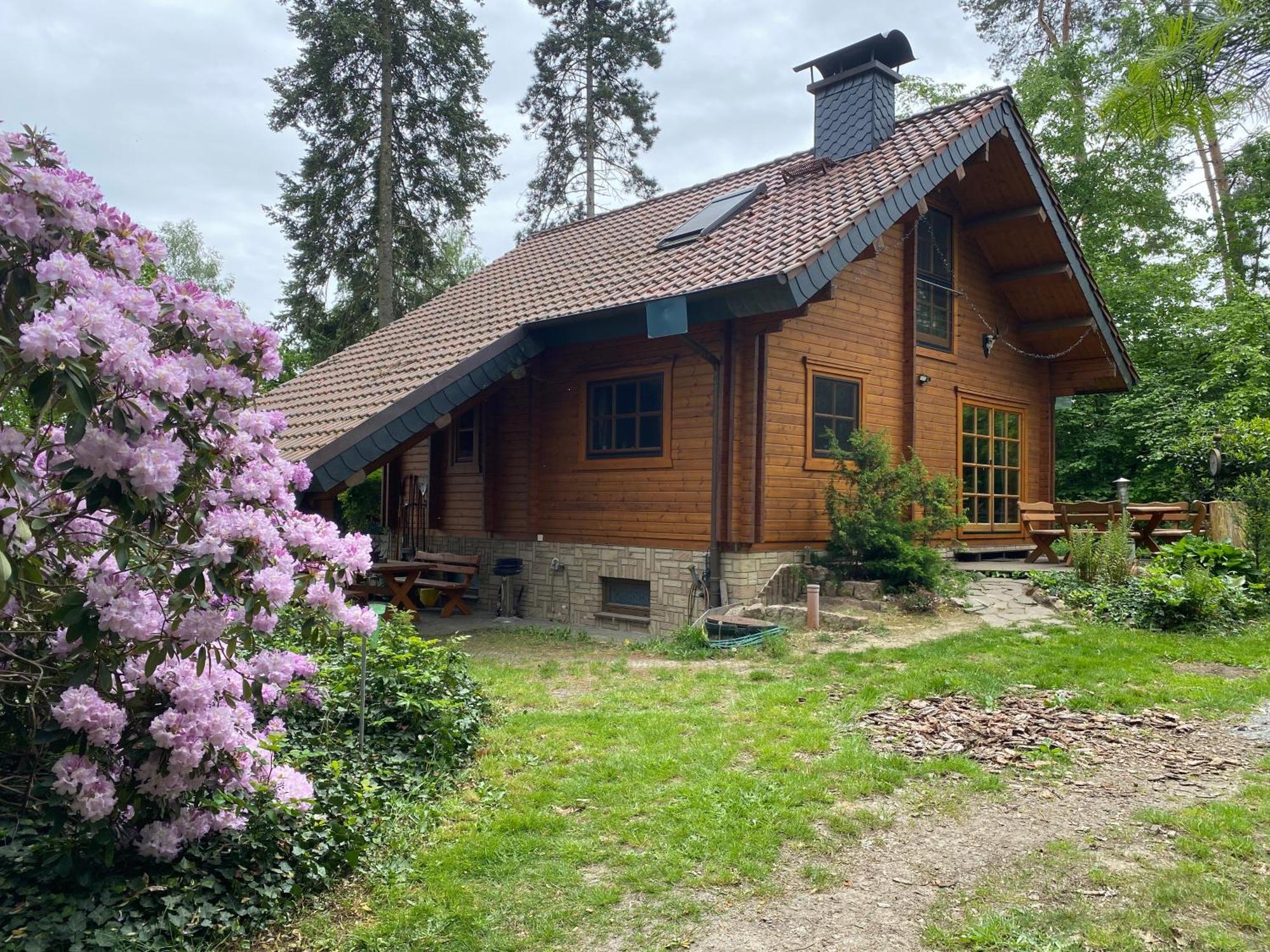 Waldhaus Eichhoernchen Bad Schmiedeberg Bagian luar foto